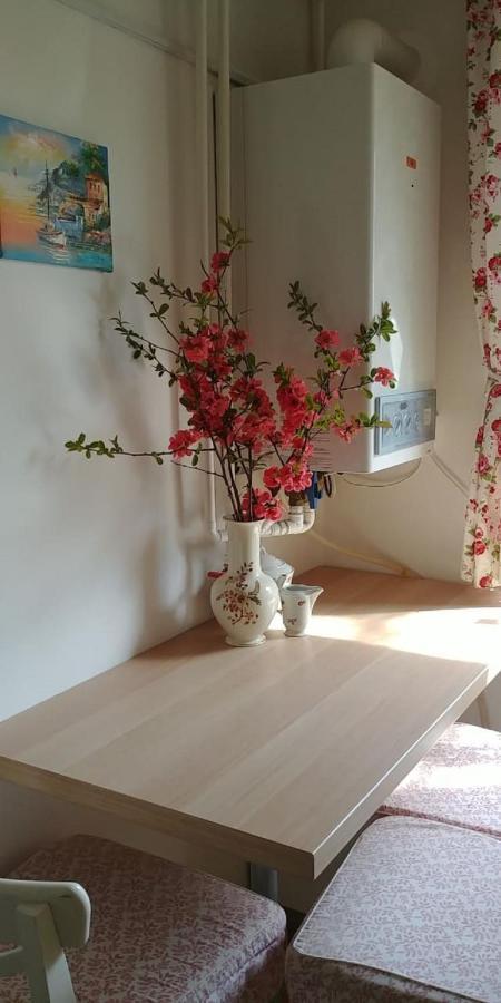 Clara Apartman Kestel Dış mekan fotoğraf