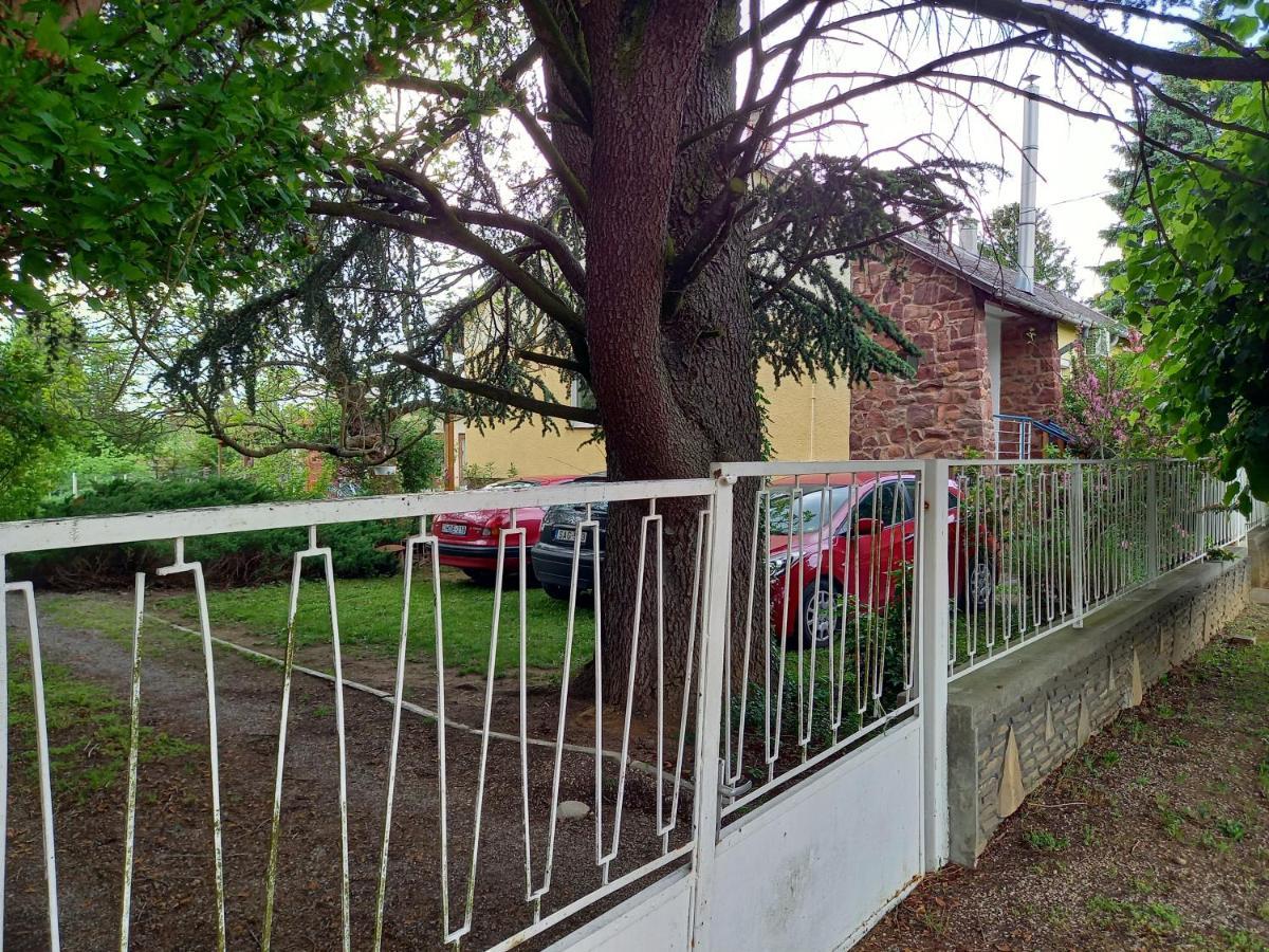 Clara Apartman Kestel Dış mekan fotoğraf
