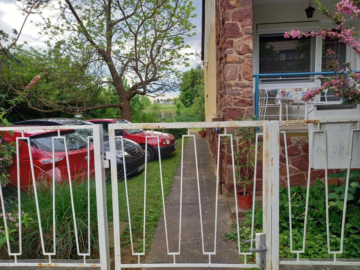 Clara Apartman Kestel Dış mekan fotoğraf